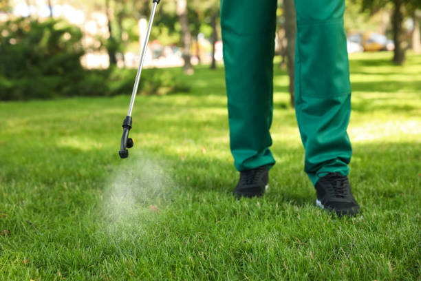 Wasp Removal Services in Boswell, PA